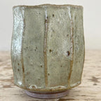 Wild Clay Yunomi Cup