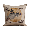 Supermoon Spell Pillow