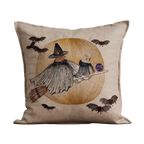 Supermoon Spell Pillow