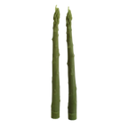Asparagus Beeswax Taper Candle Pair
