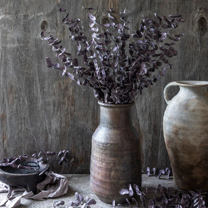 Faux Plum Eucalypts