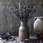 Faux Plum Eucalypts