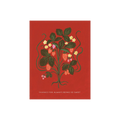 Sweet Strawberries Greeting Card