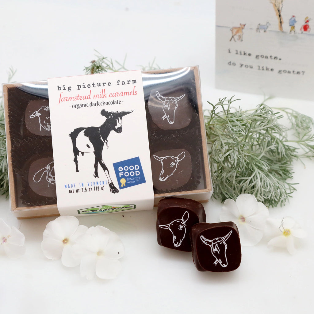 Chocolate Covered Goat Milk Caramels