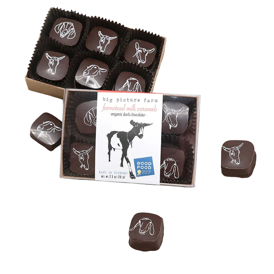 Chocolate Covered Goat Milk Caramels
