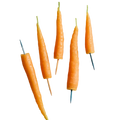 Carrot Beeswax Birthday Candles