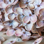 Real Touch Faux Hydrangea