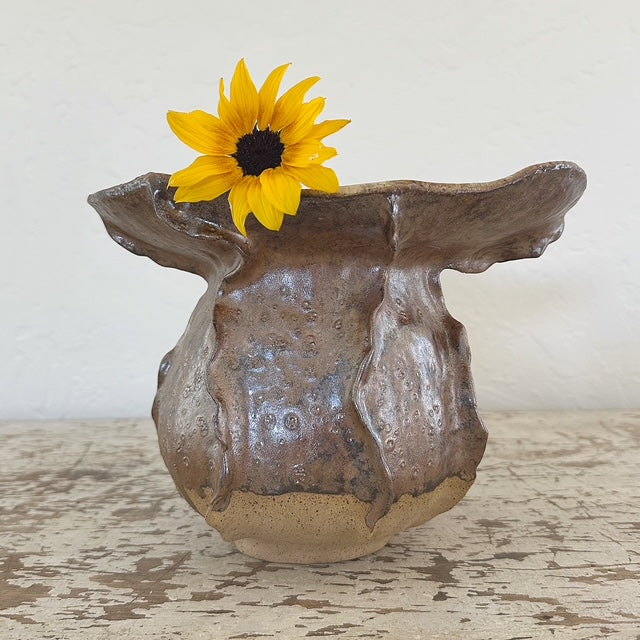Agave Moon Brown Buff Sculptural Vase