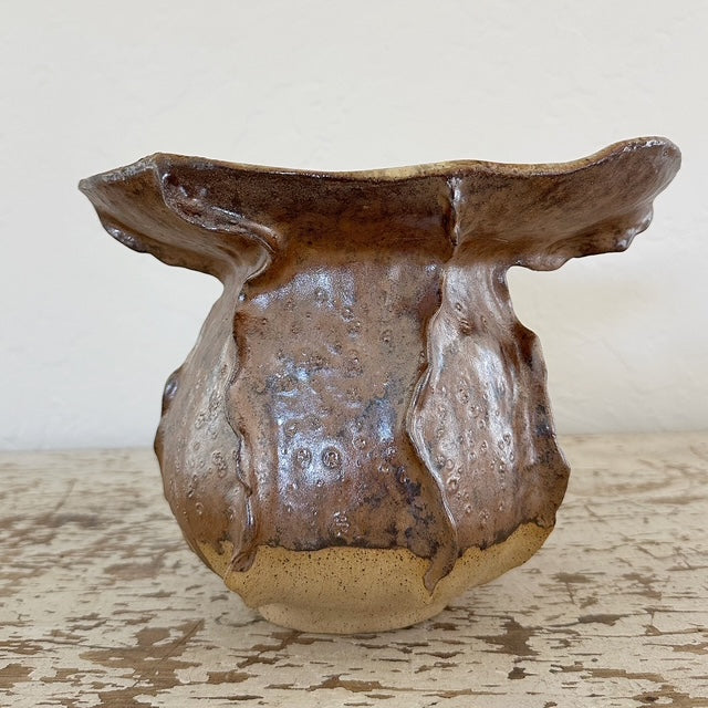 Agave Moon Brown Buff Sculptural Vase