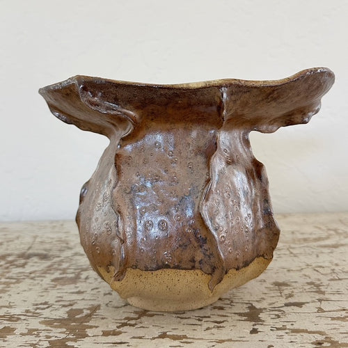 Agave Moon Brown Buff Sculptural Vase