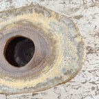 Agave Moon Brown Buff Sculptural Vase