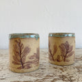 Agave Moon Sage Mugs
