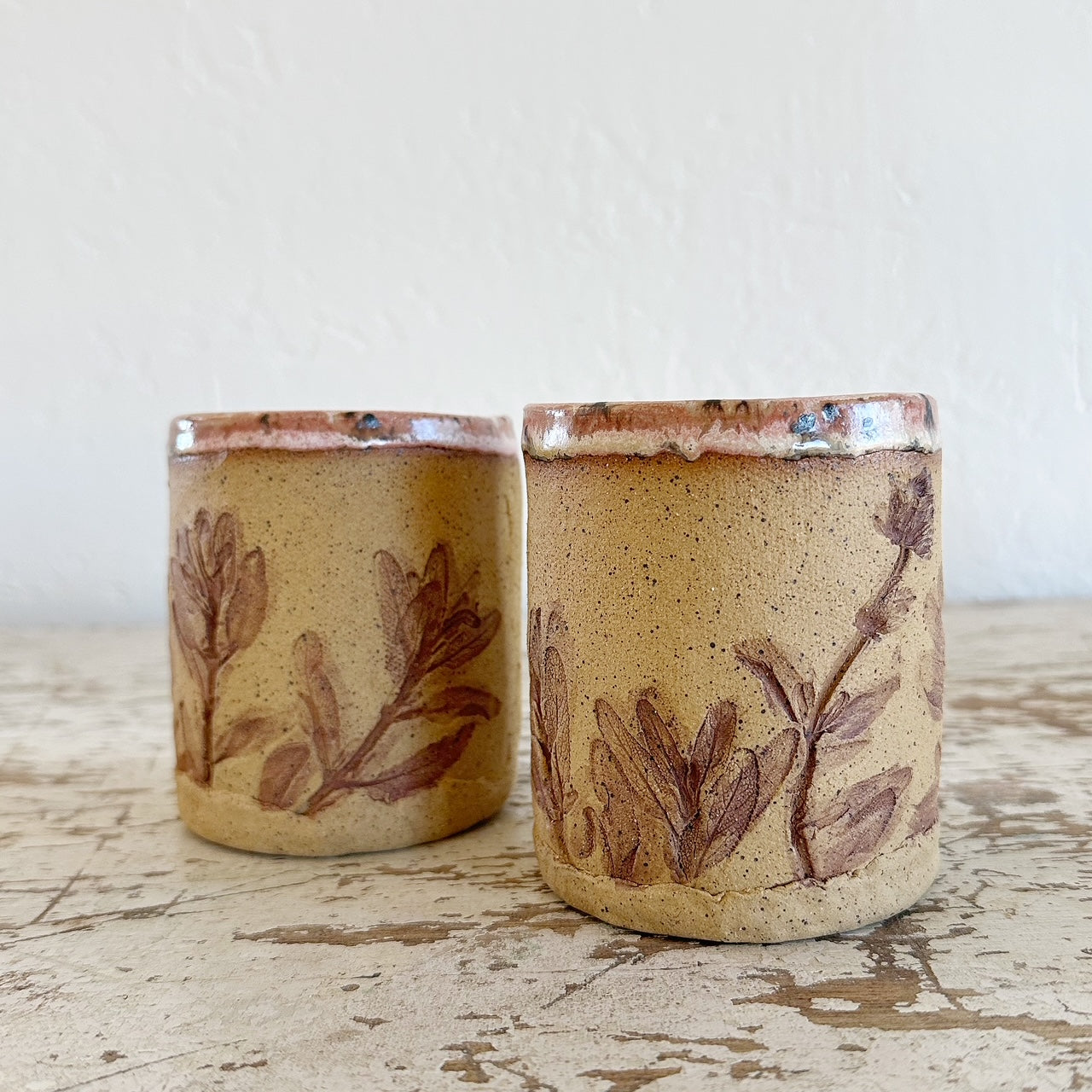 Agave Moon Sage Mugs
