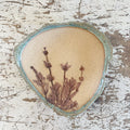 Agave Moon Sage Dish