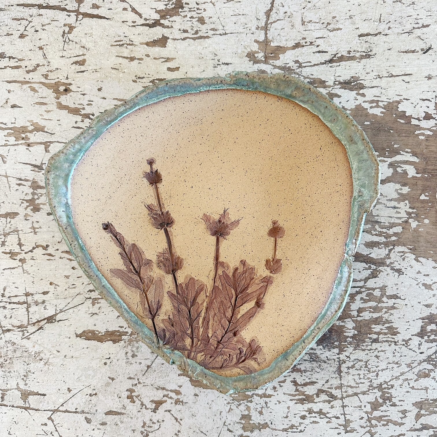 Agave Moon Sage Dish