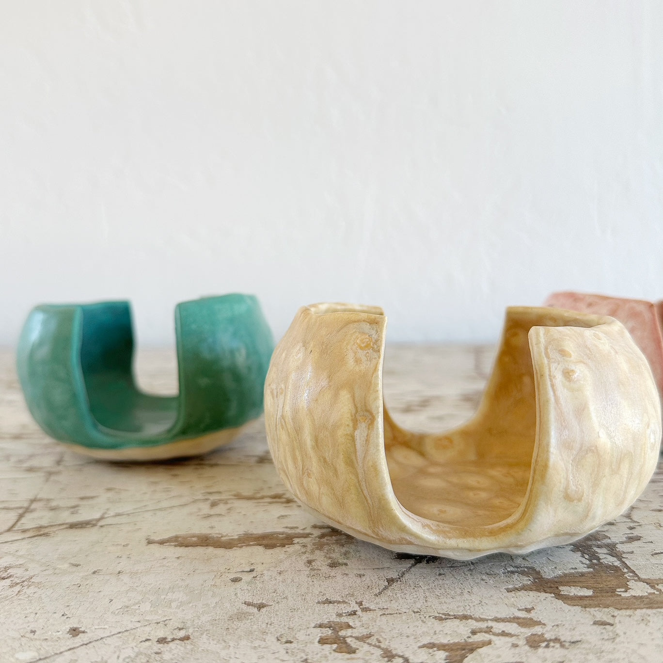 Agave Moon Sponge Holder