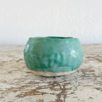 Agave Moon Sponge Holder