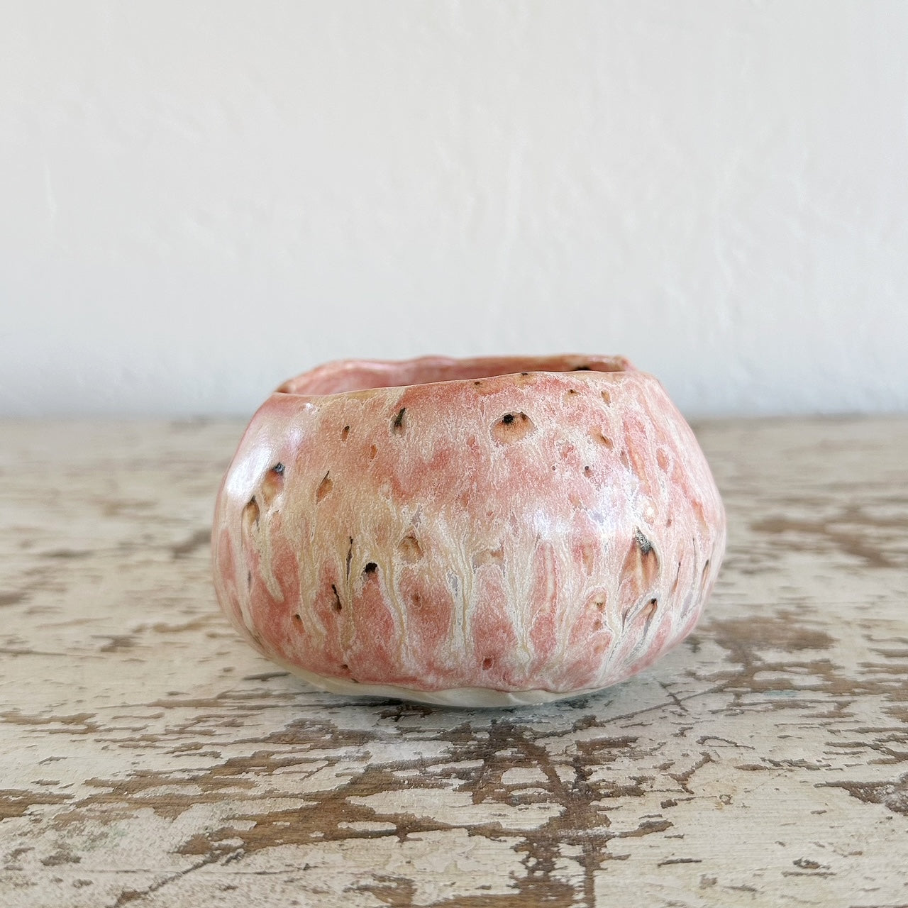 Agave Moon Sponge Holder