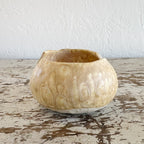 Agave Moon Sponge Holder