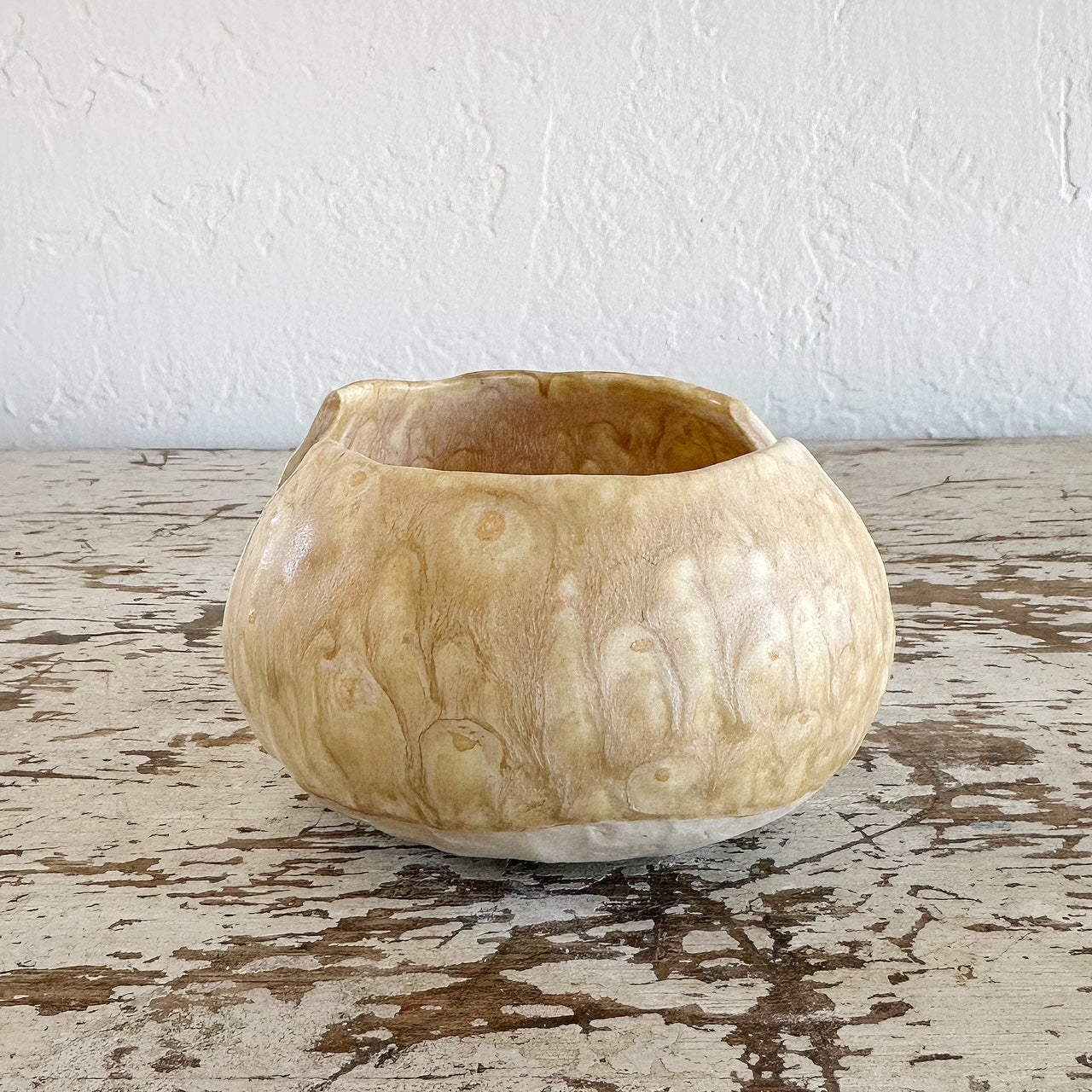 Agave Moon Sponge Holder