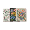 Flora + Fauna Notebook Set