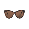 Liar Liar Sunglasses