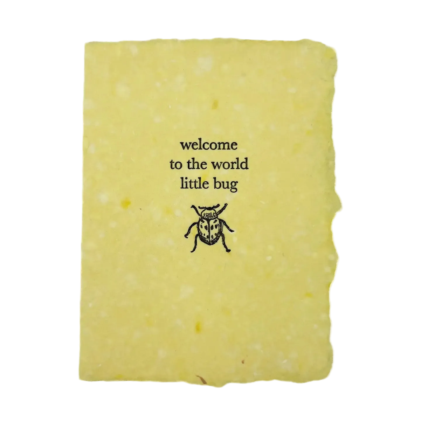 Bug Baby Card