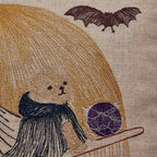 Supermoon Spell Pillow
