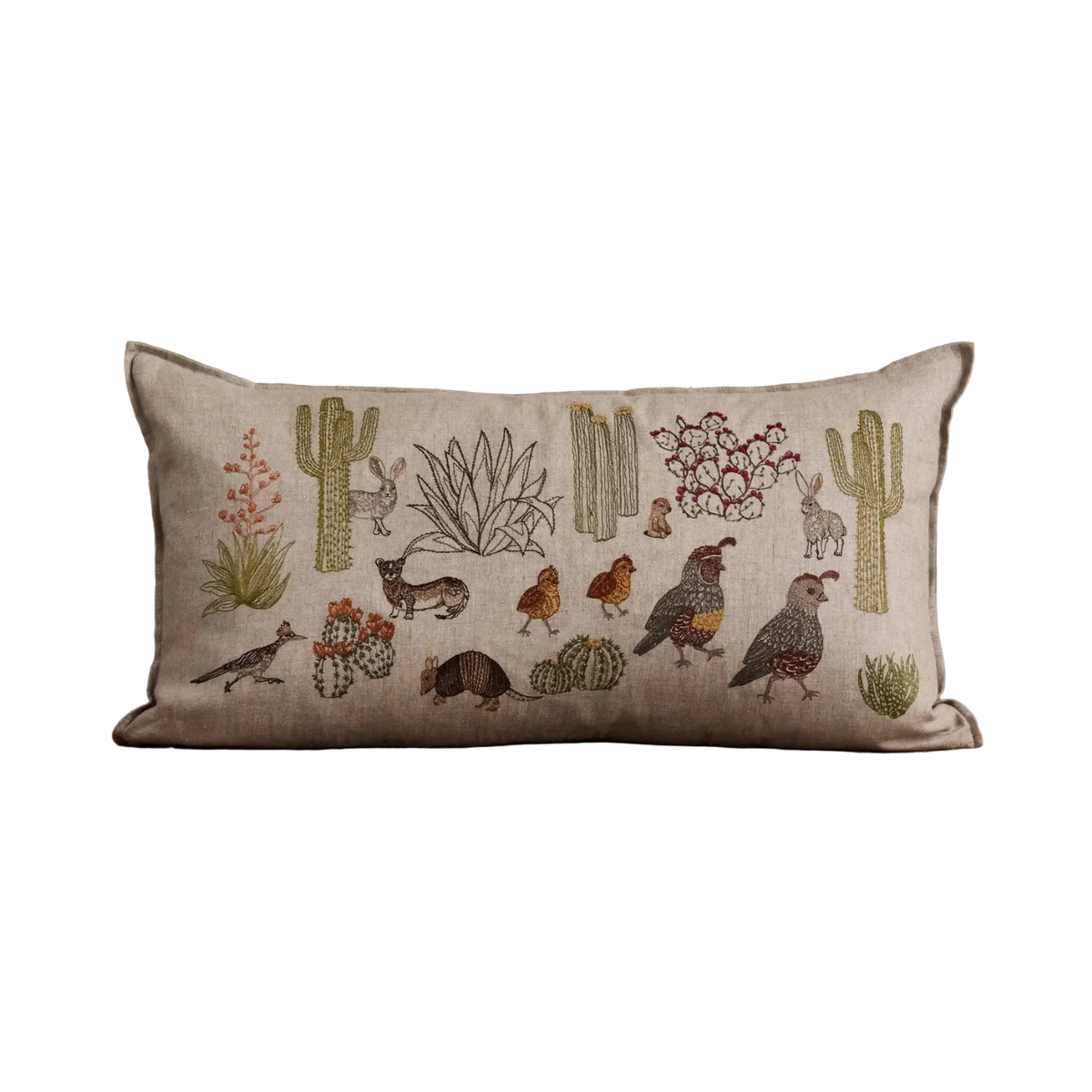 Desert Landscape Pillow