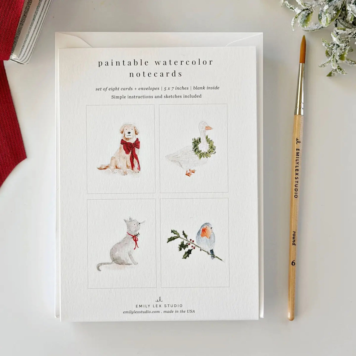 Festive Friends Paintable Notecards